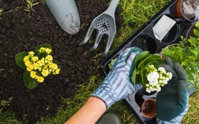 Complete Property Management Services: Everything You Need to Know