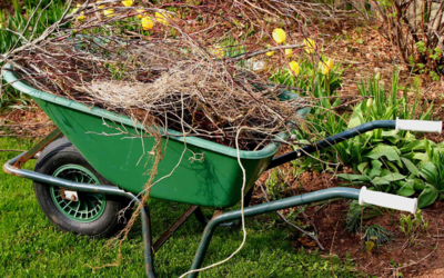 The Importance of Landscape Clean-Up Services for a Healthy Outdoor Space