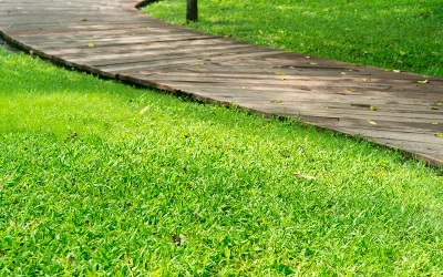 How to Achieve a Perfectly Green Lawn in Brick, NJ