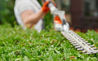 Transform Your Outdoor Space: Effective Landscape Design Ideas