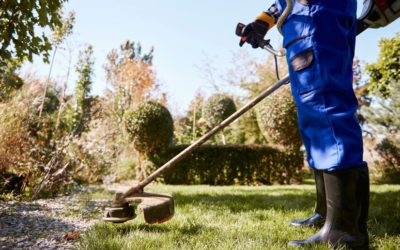The Importance of Landscape Clean-Up Services: Why They Matter