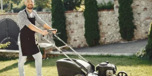 lush green lawn tips