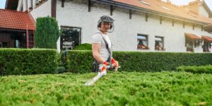 Hiring Professional Landscaping Services