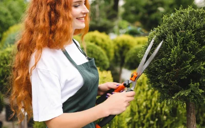 Why Shrub Trimming Is Essential for a Beautiful Landscape in Brick, NJ